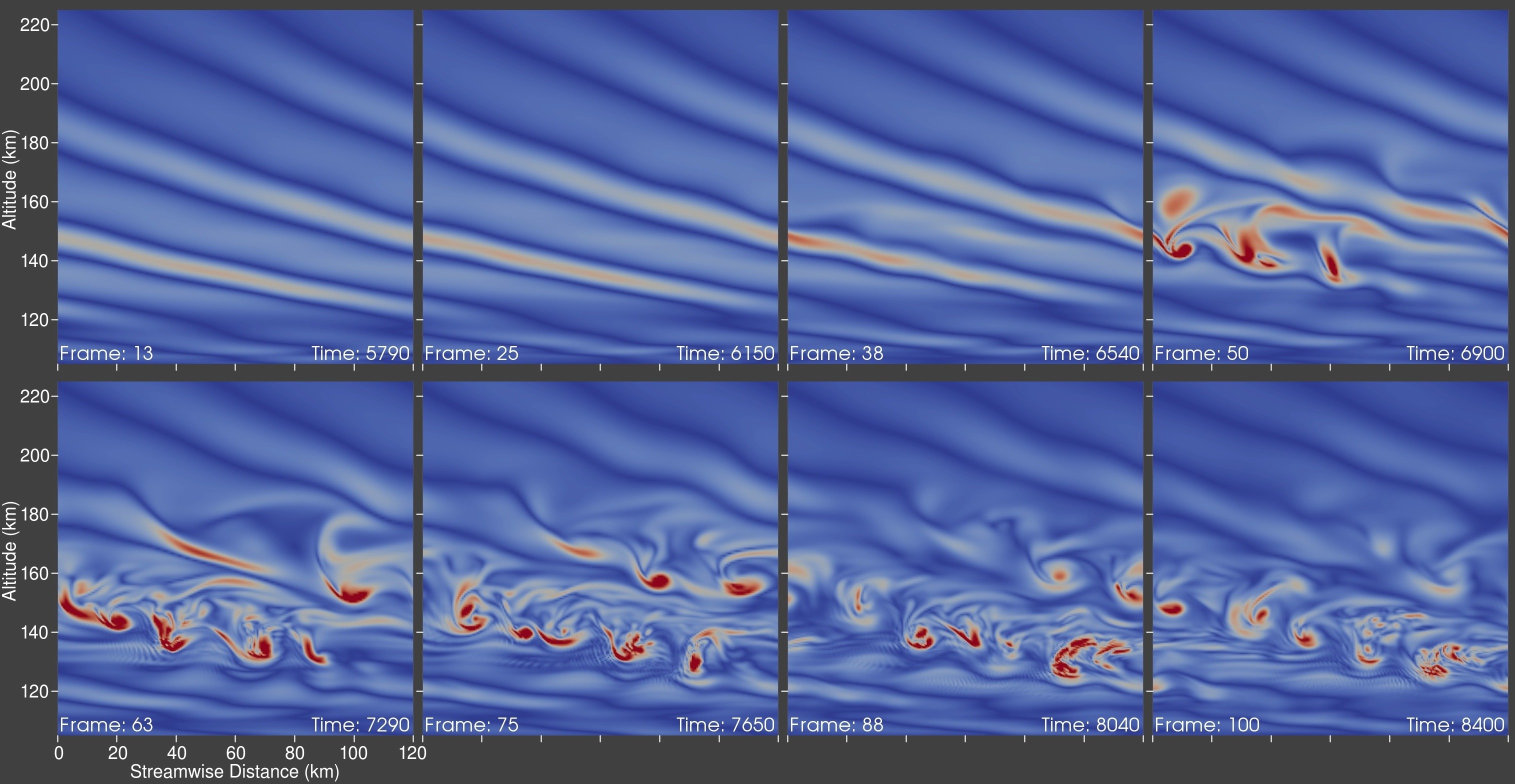 vorticity magnitude montage