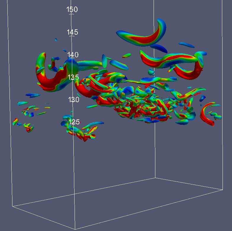 vorticity movie