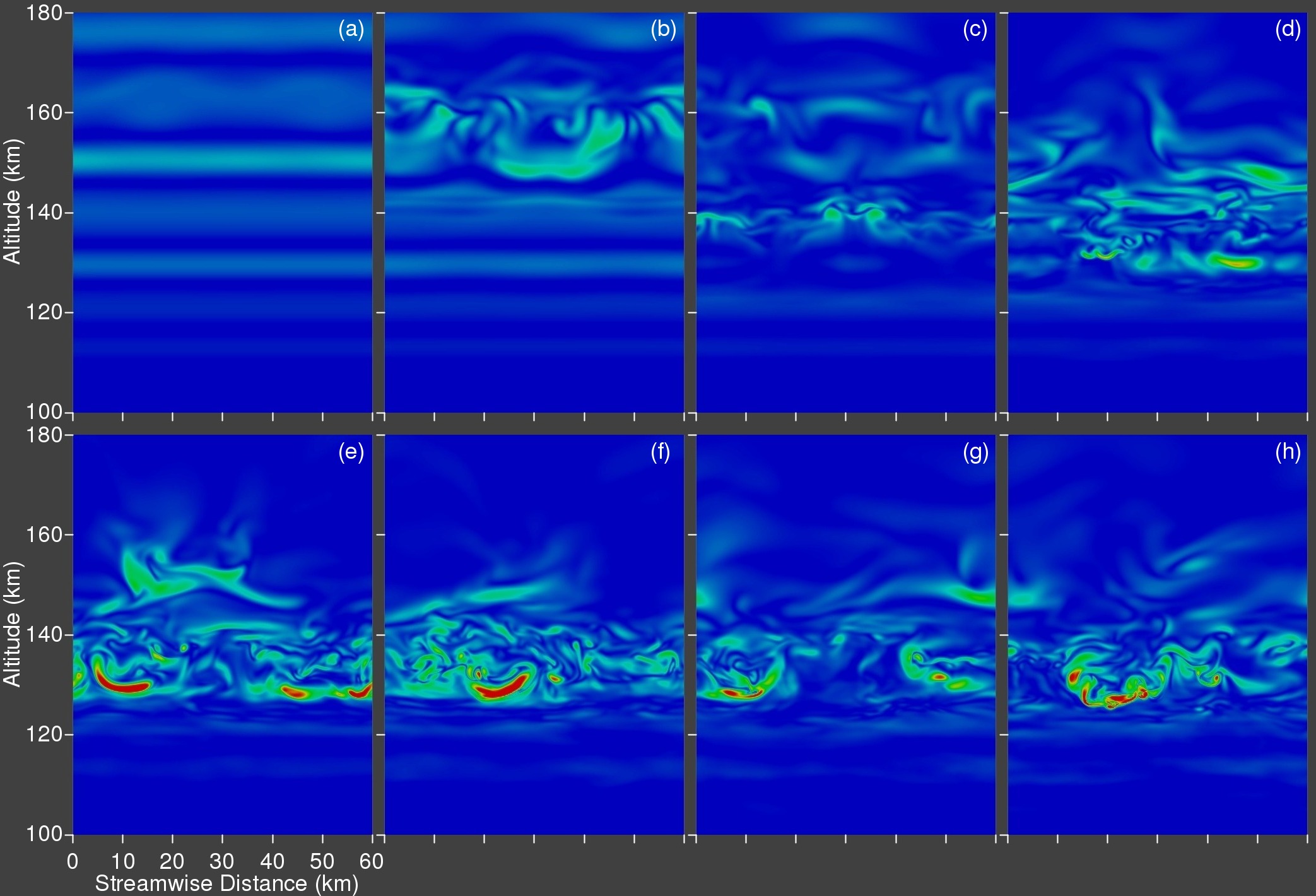 vorticity magnitude montage