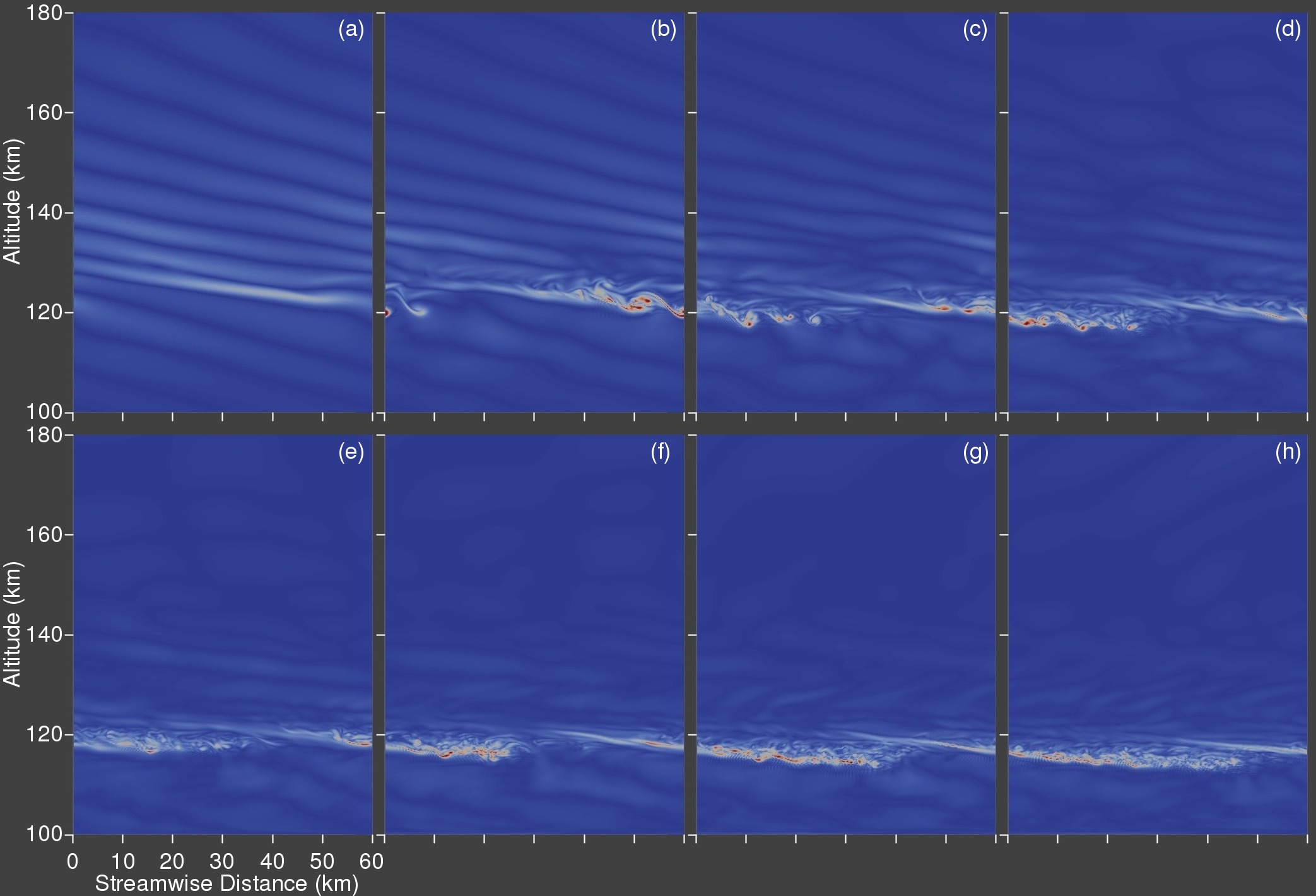 vorticity magnitude montage