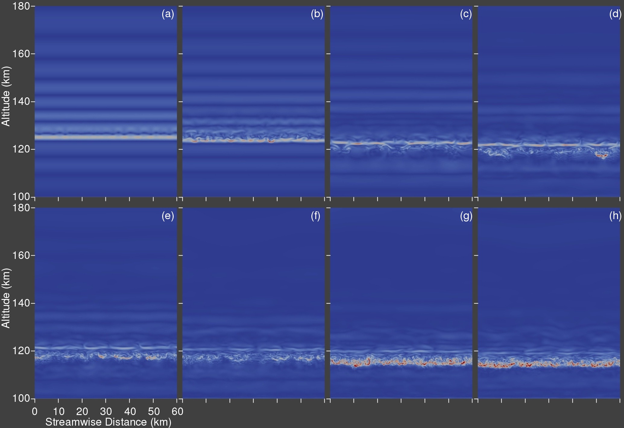 vorticity magnitude montage