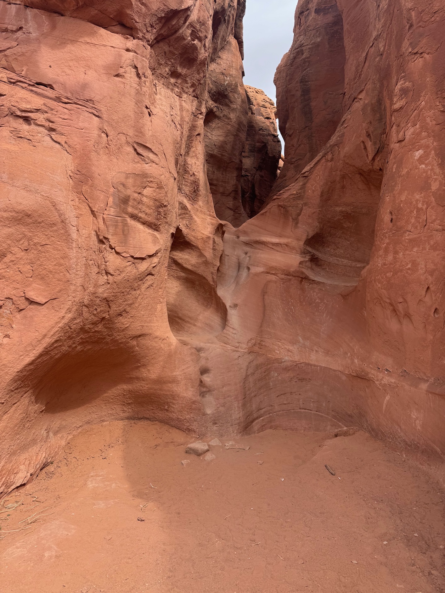 escalante 19