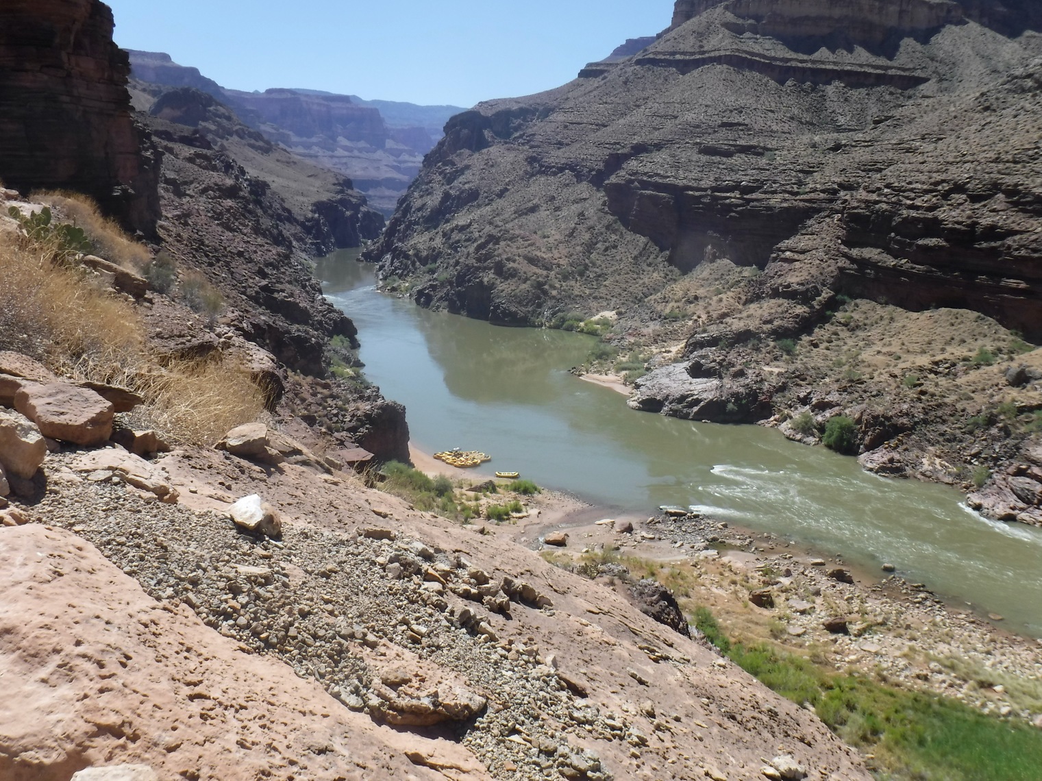 grandcanyon 24