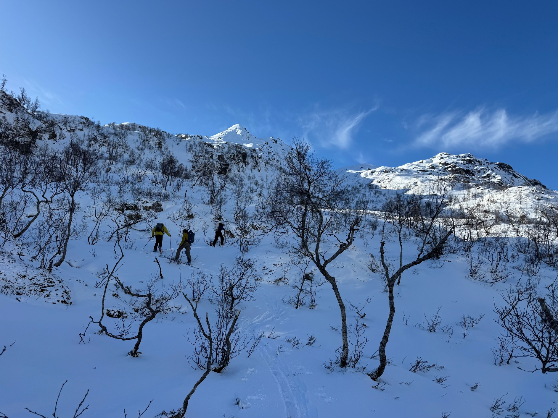 Lofoten6 2