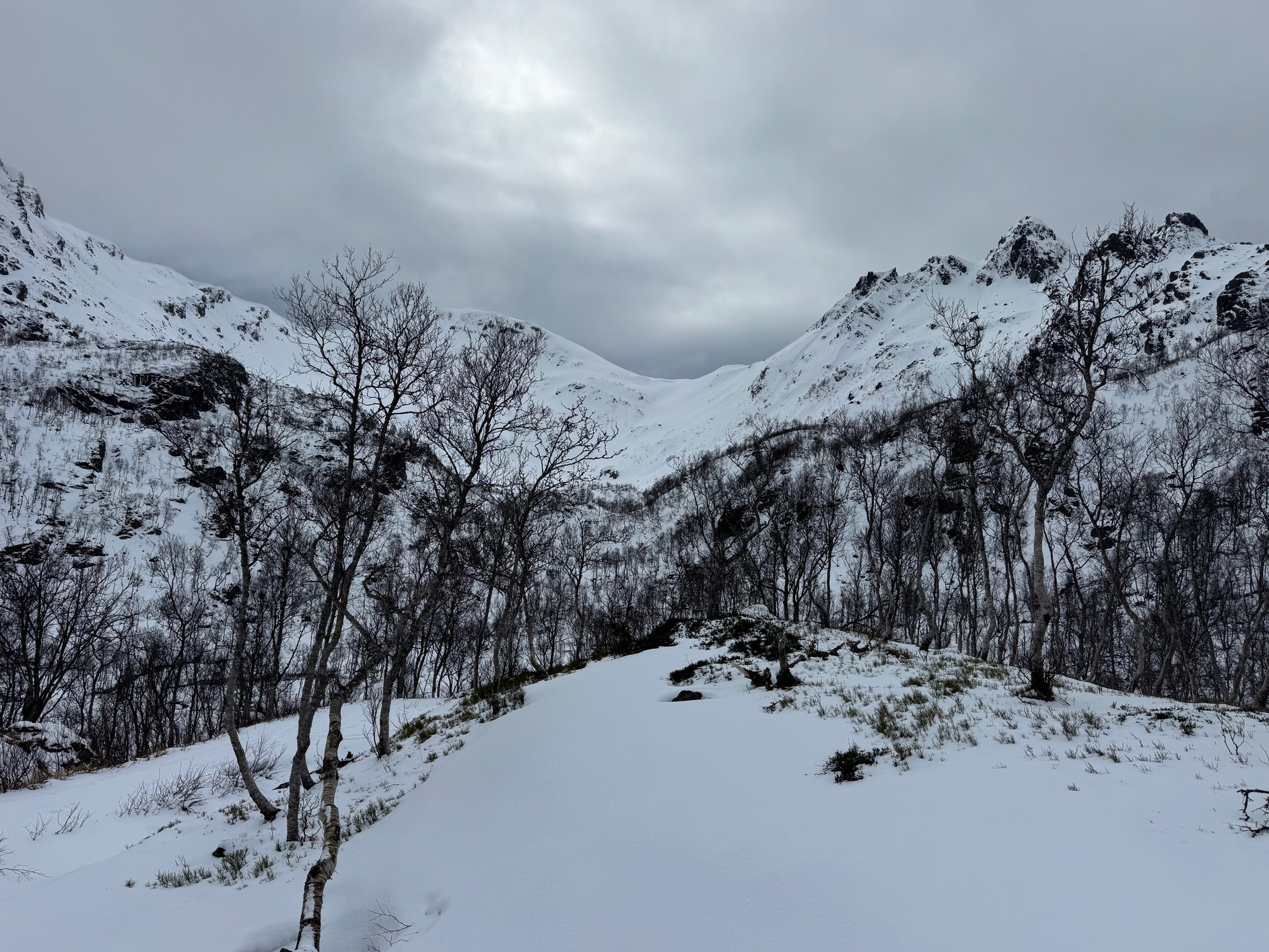 Lofoten7 1