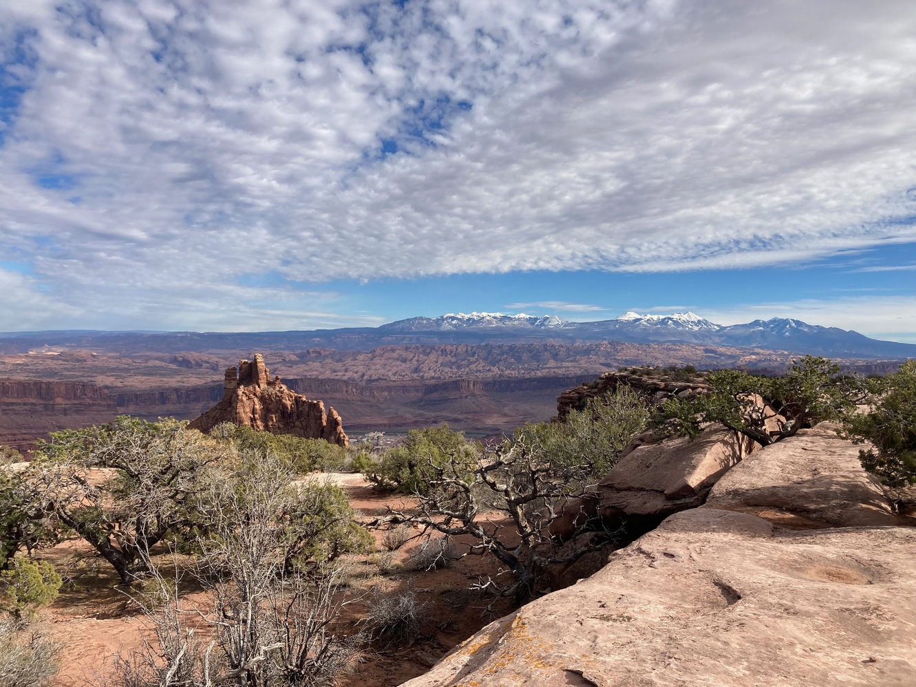 moab25 23