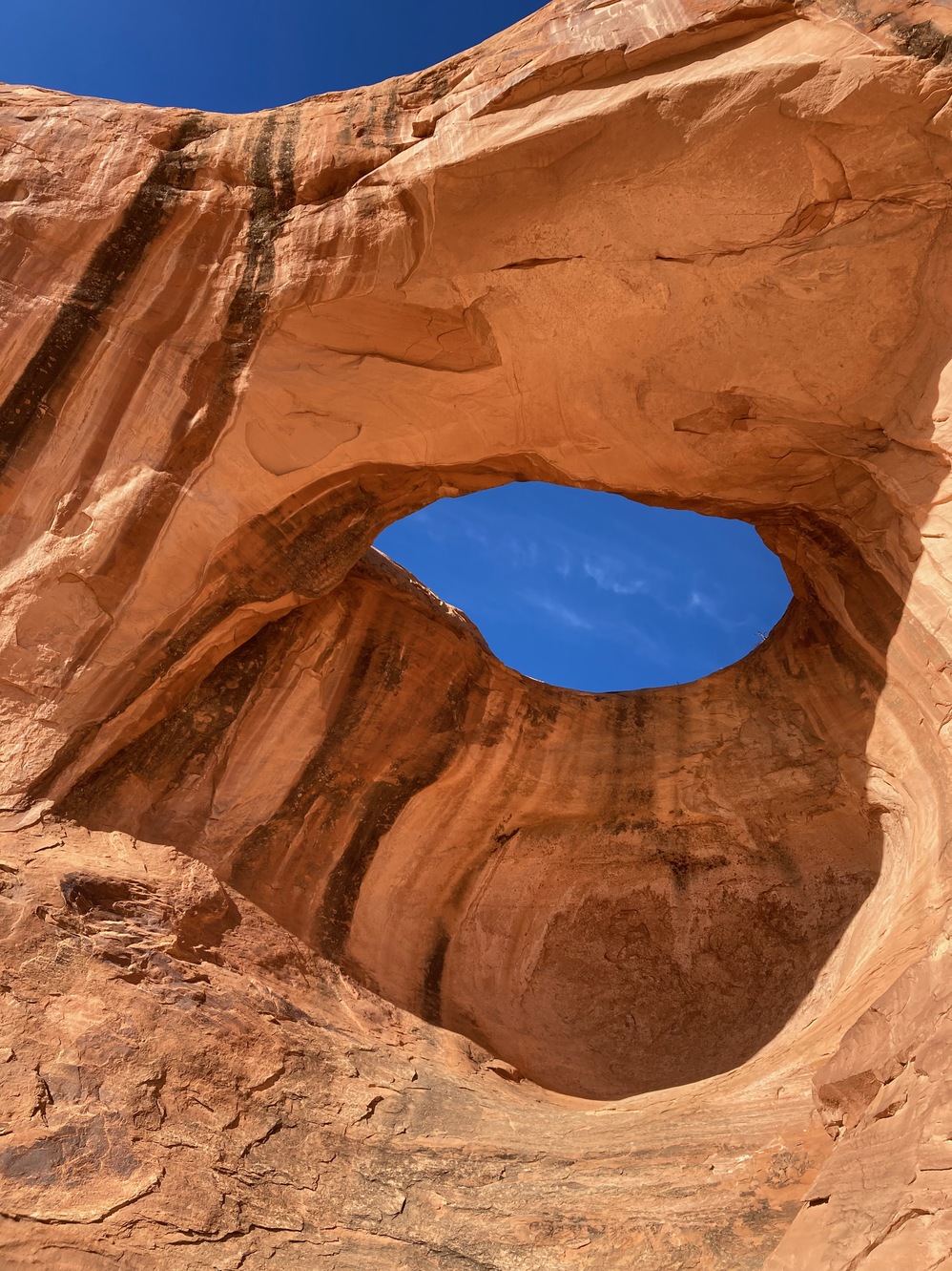 moab25 29