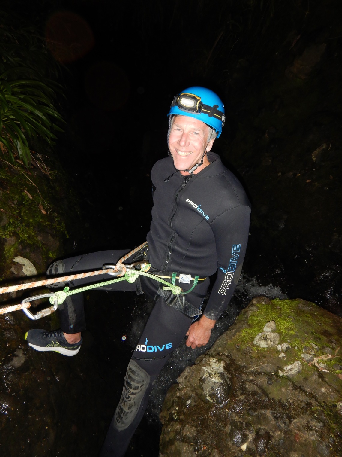 newzealand 6