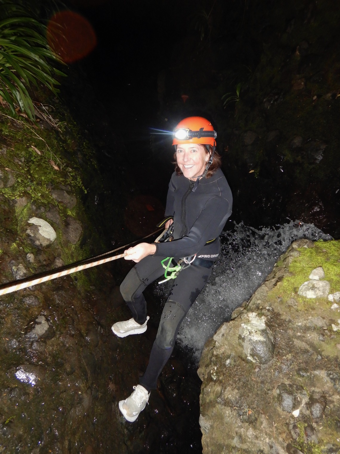 newzealand 8