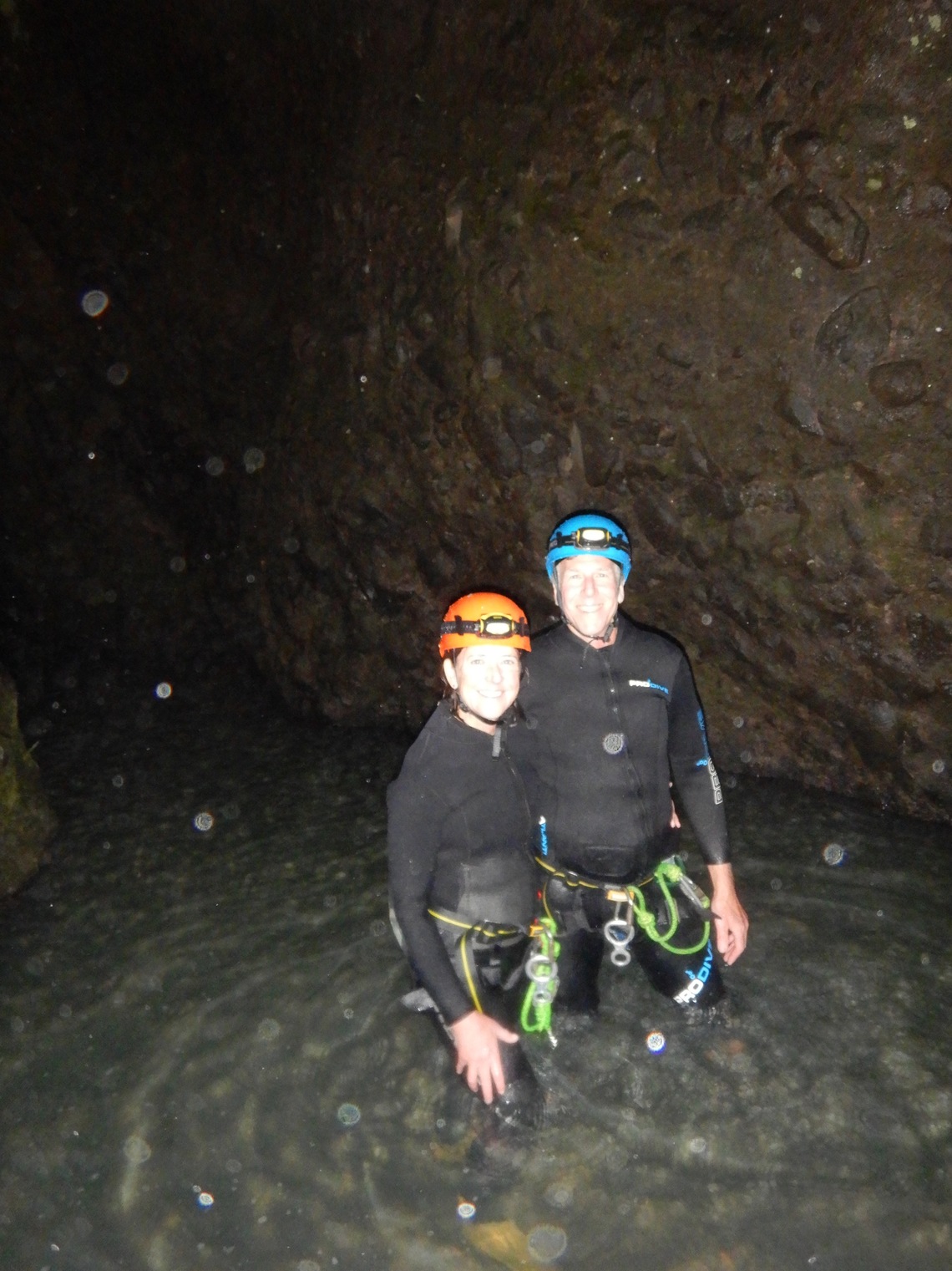 newzealand 9