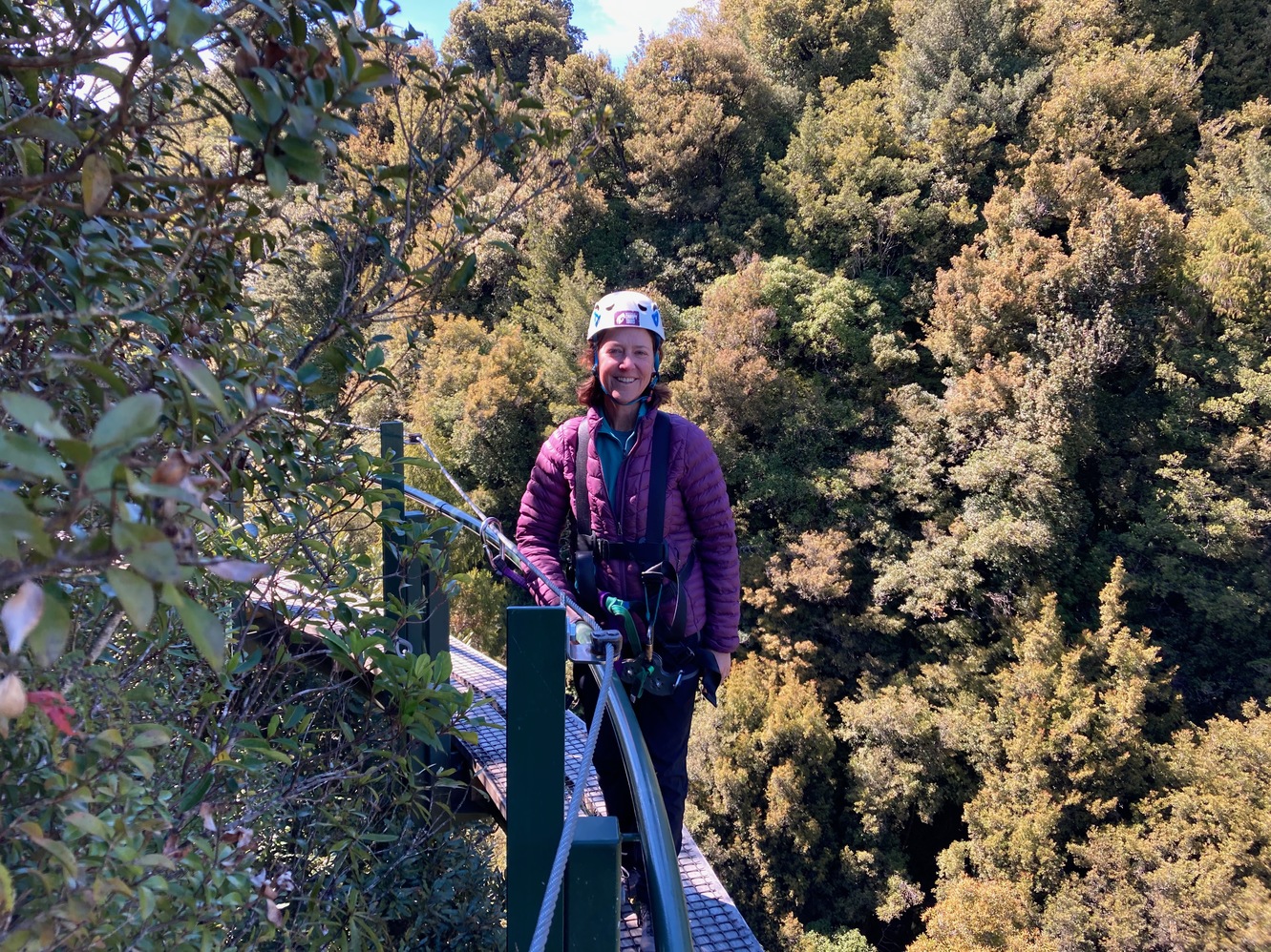 newzealand 19
