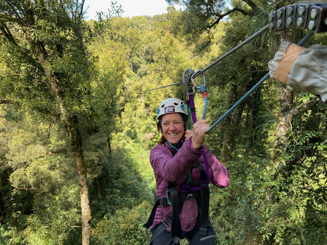 newzealand 23