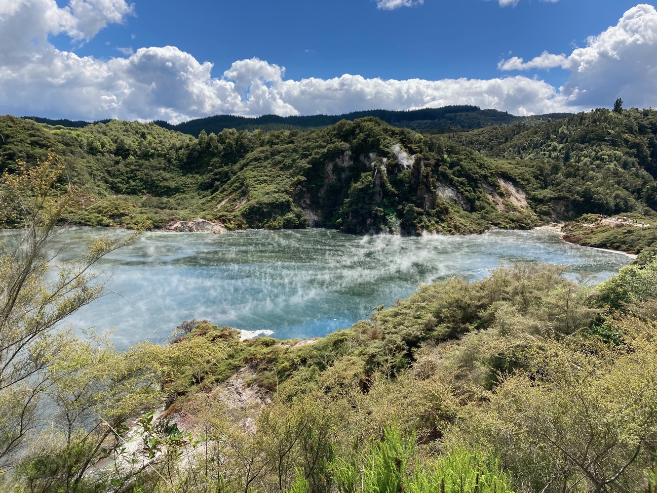 newzealand 31