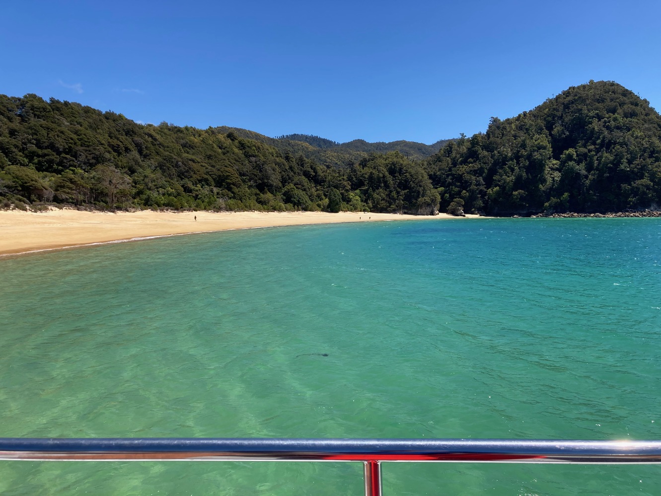 newzealand 54