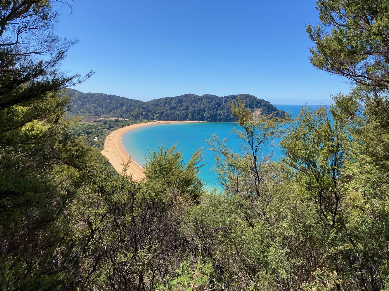 newzealand 58