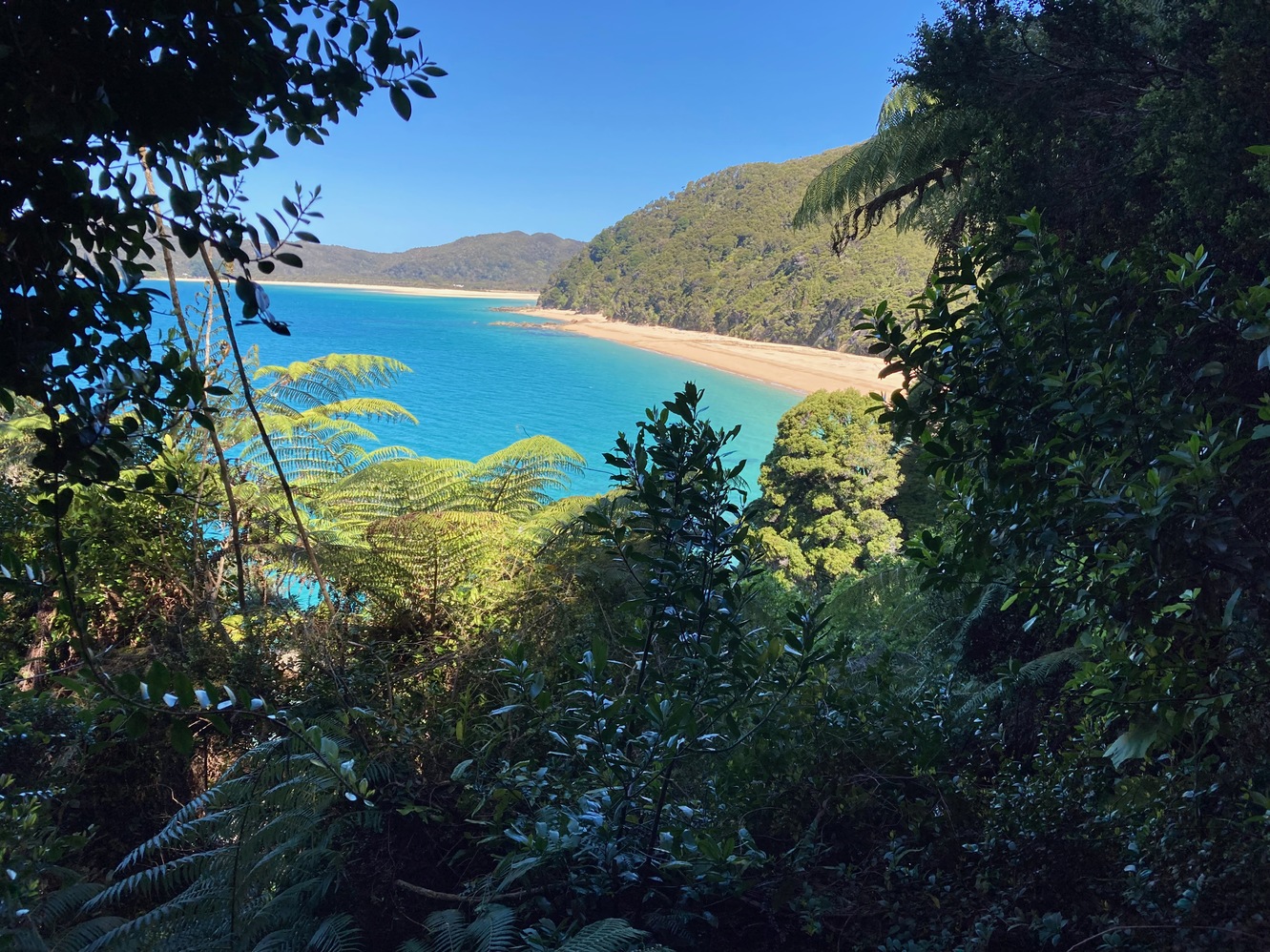 newzealand 63