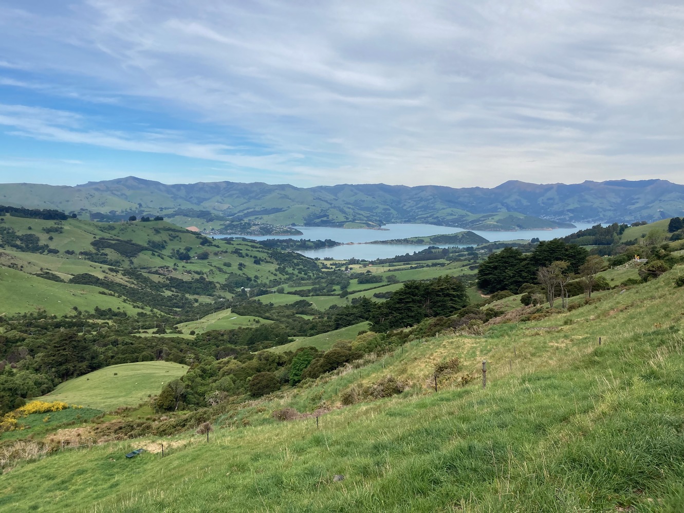 newzealand 87