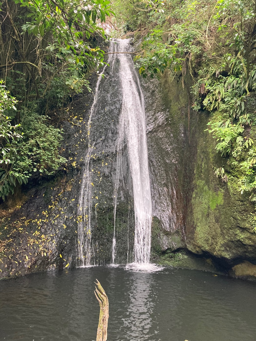 newzealand 92
