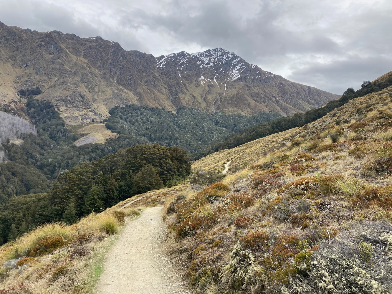 newzealand 147