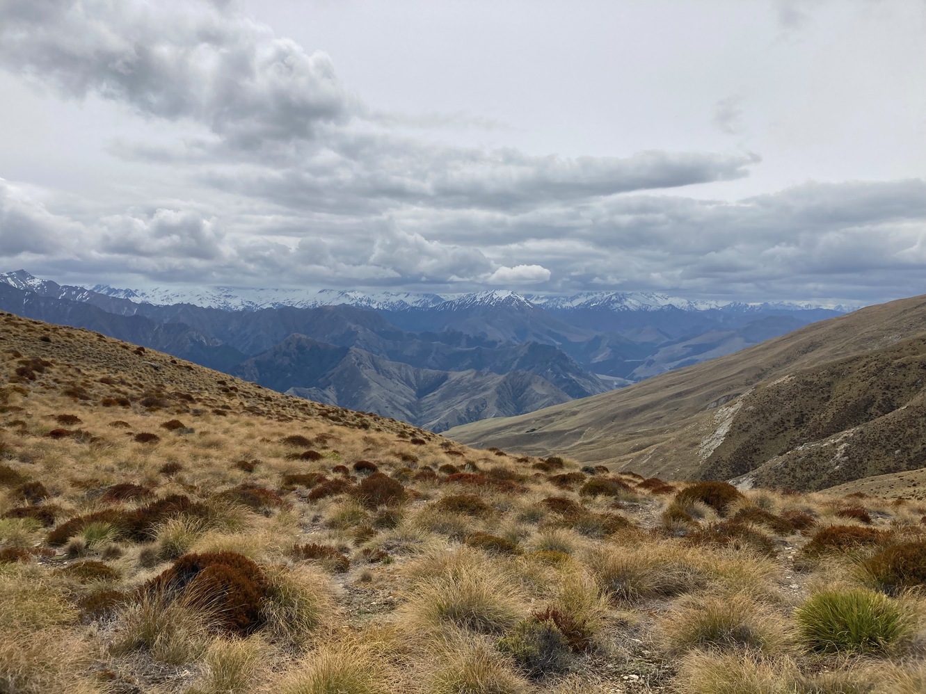 newzealand 149