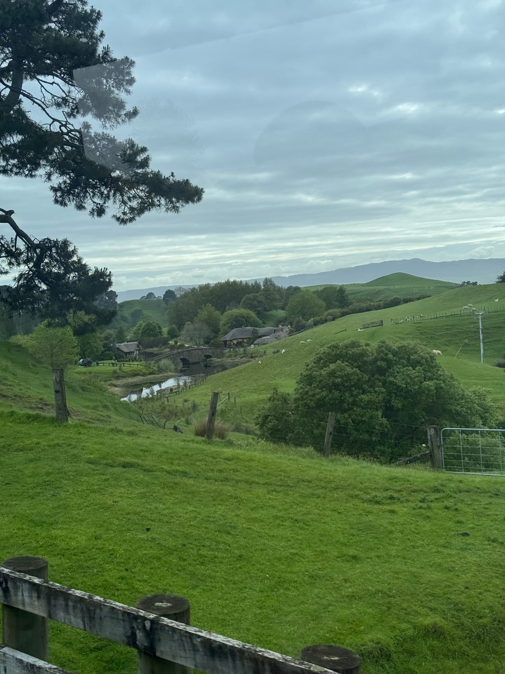 newzealand 13