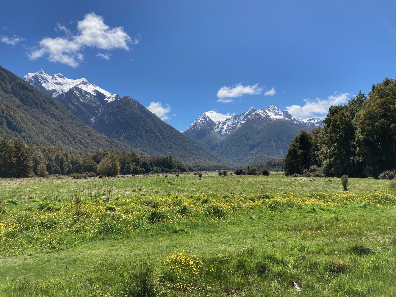 newzealand 179