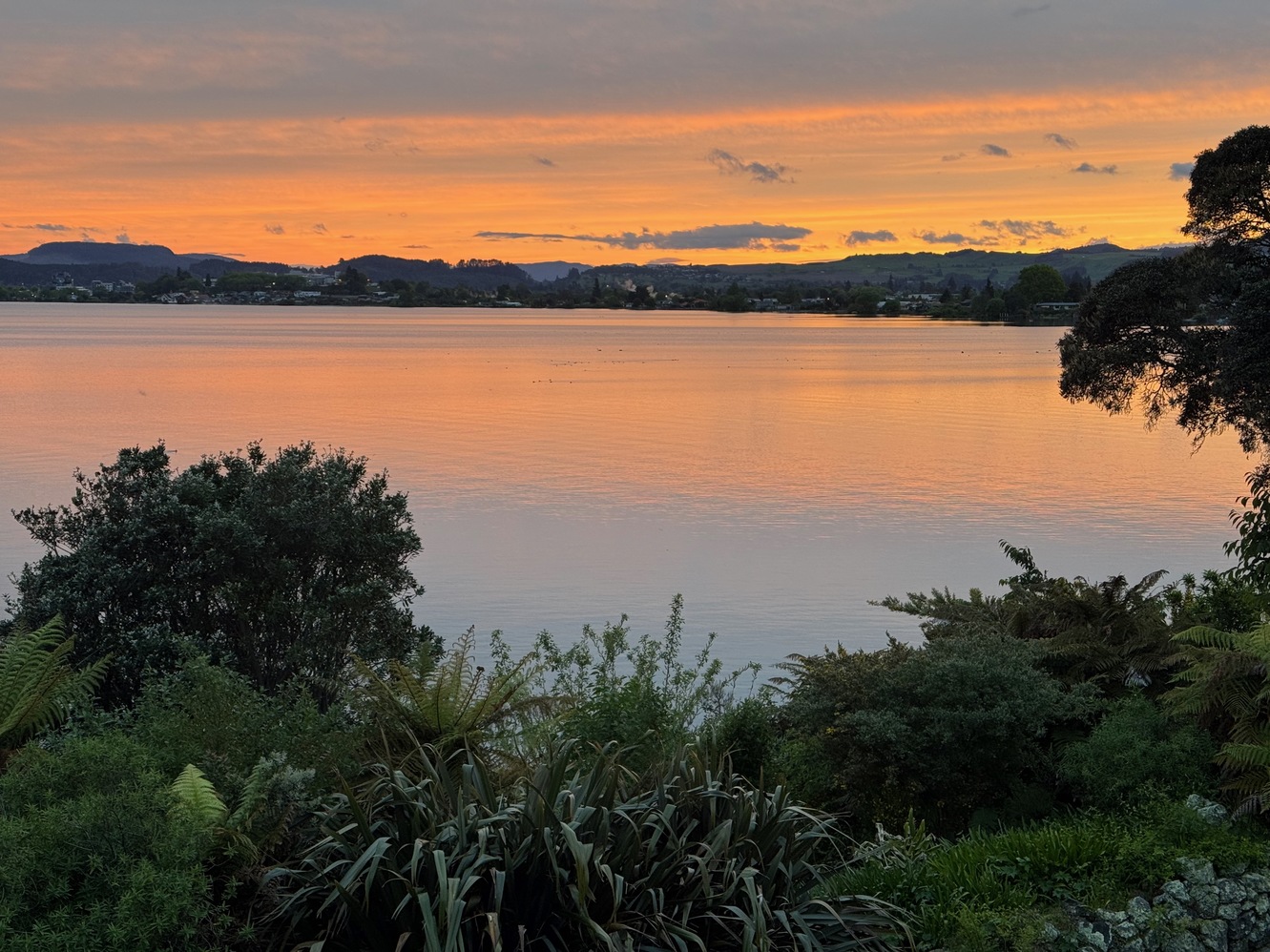 newzealand 18