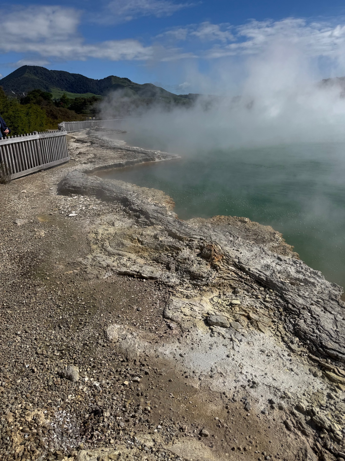 newzealand 29