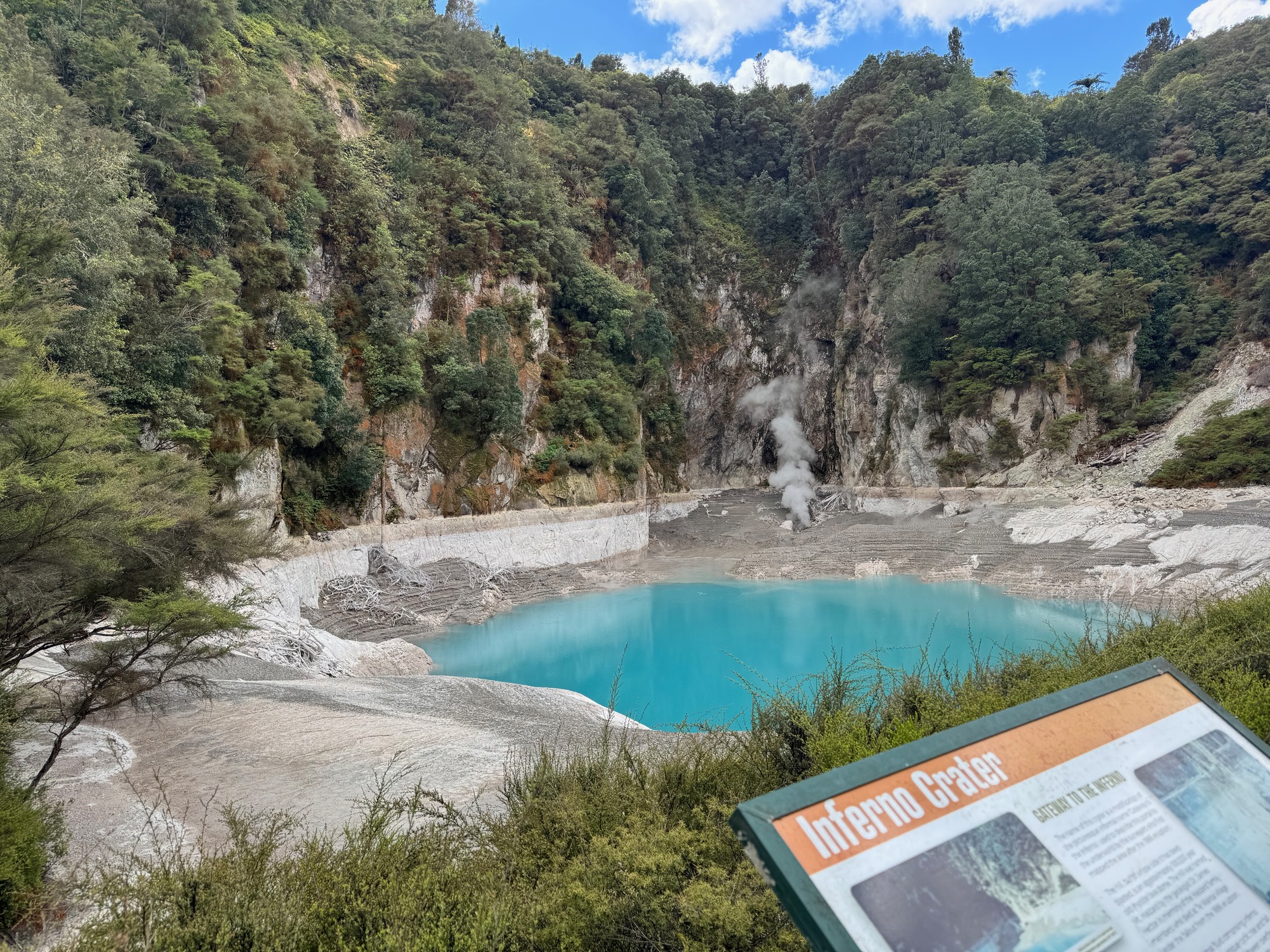 newzealand 32