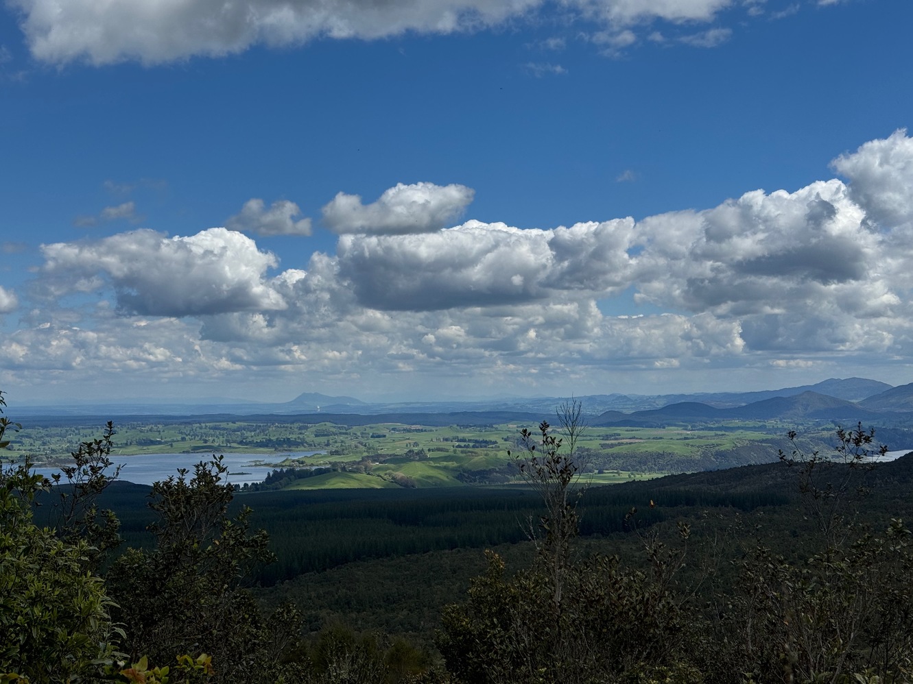 newzealand 36