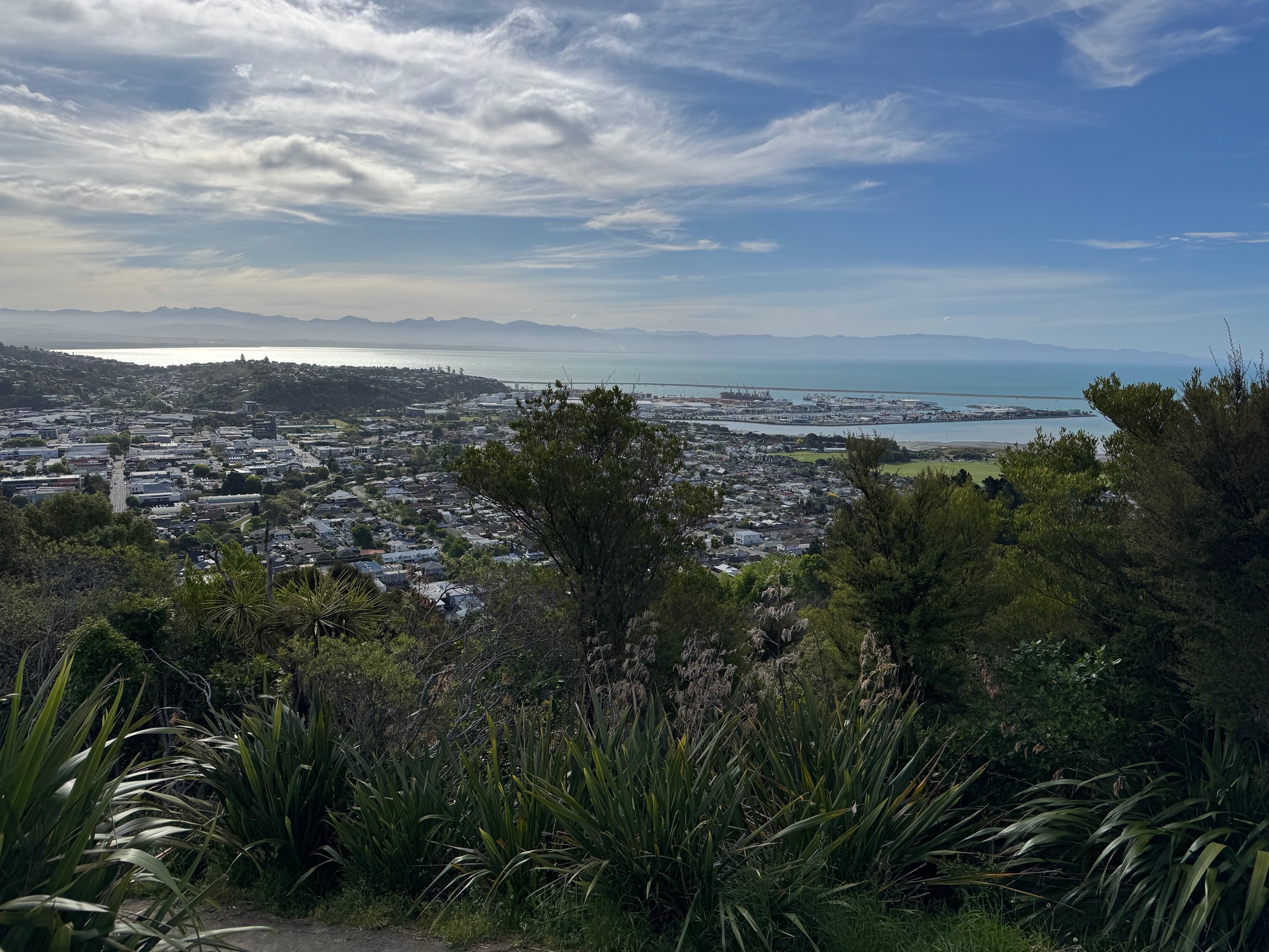 newzealand 48