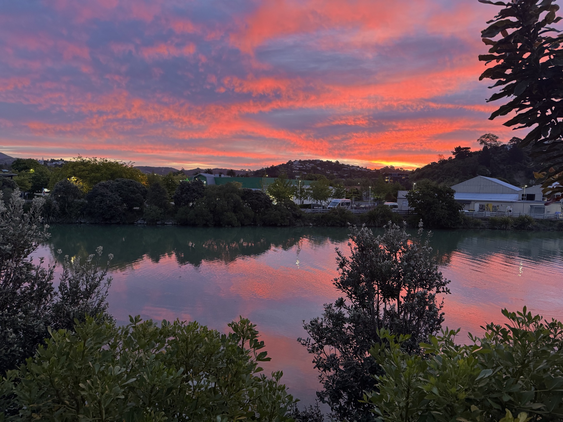 newzealand 50