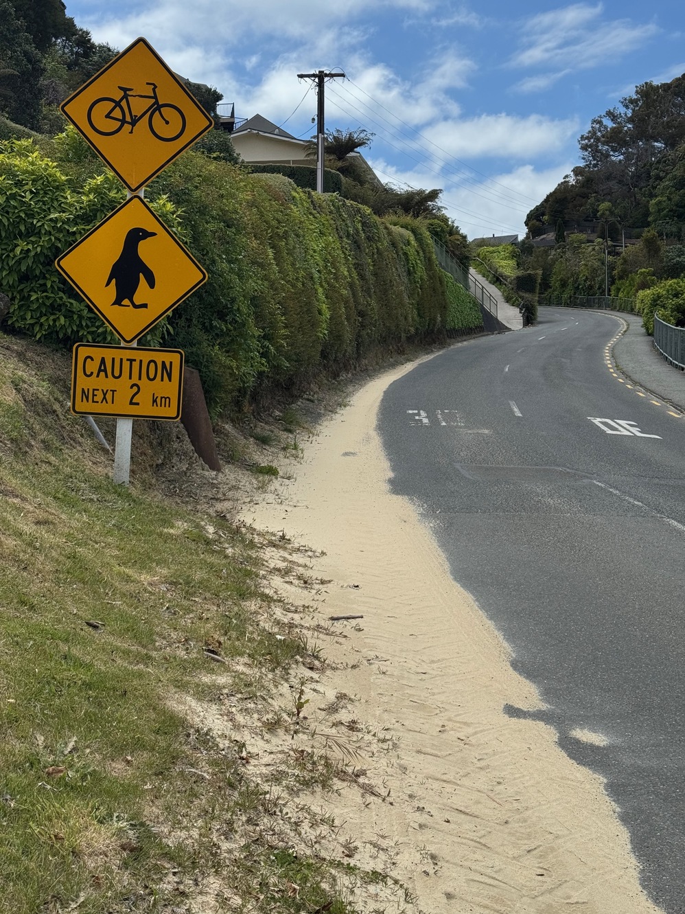 newzealand 53