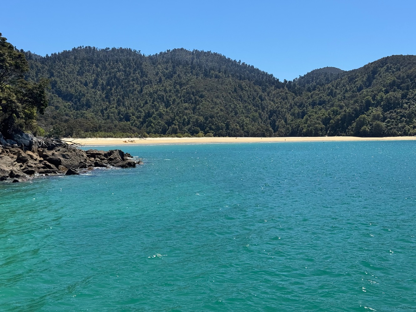 newzealand 55