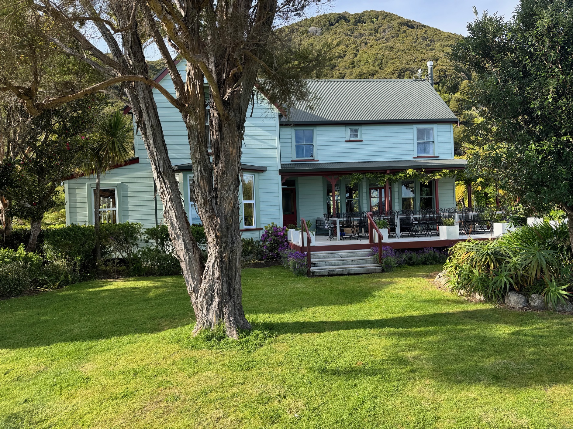 newzealand 65