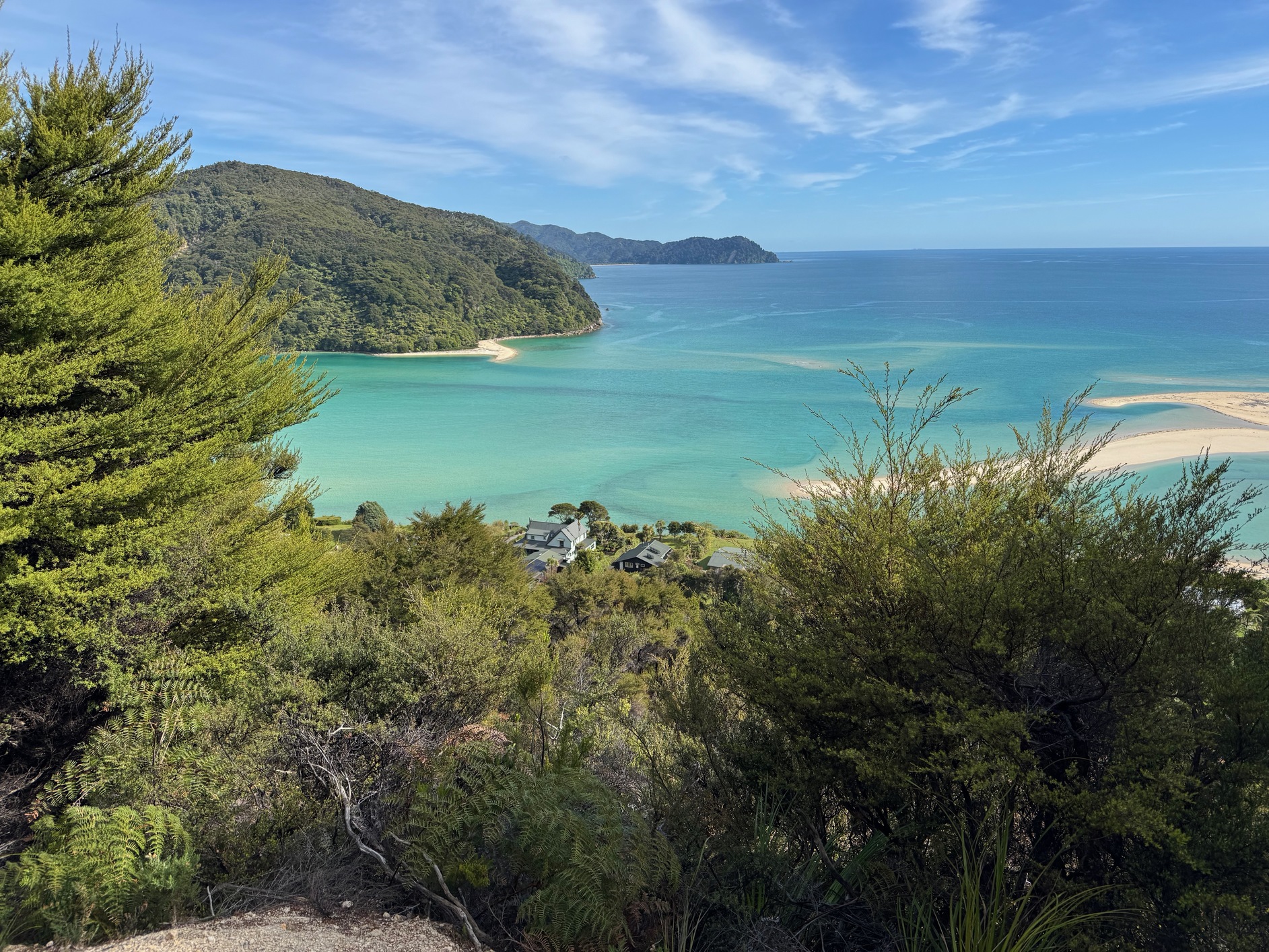 newzealand 66