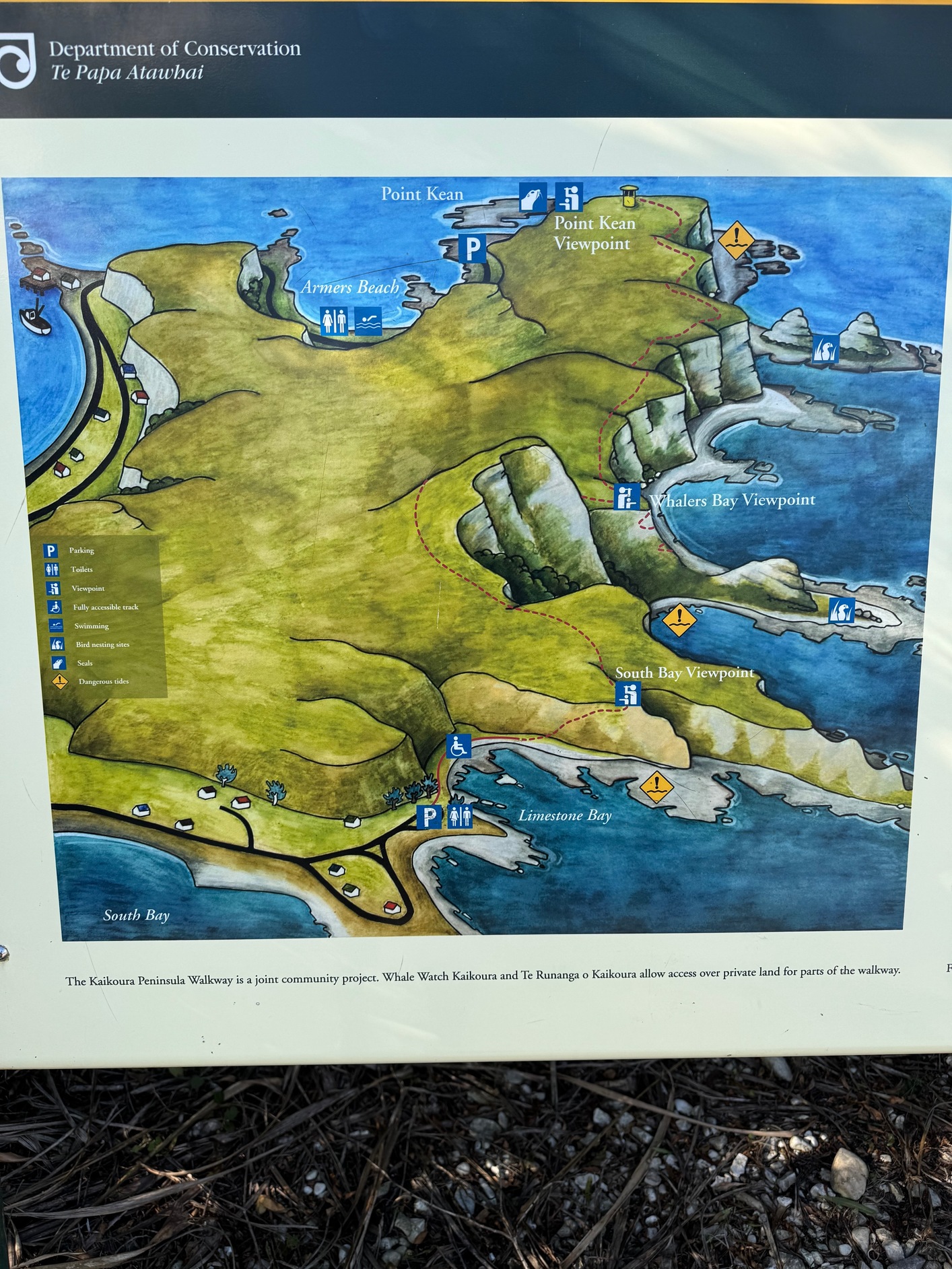 newzealand 74