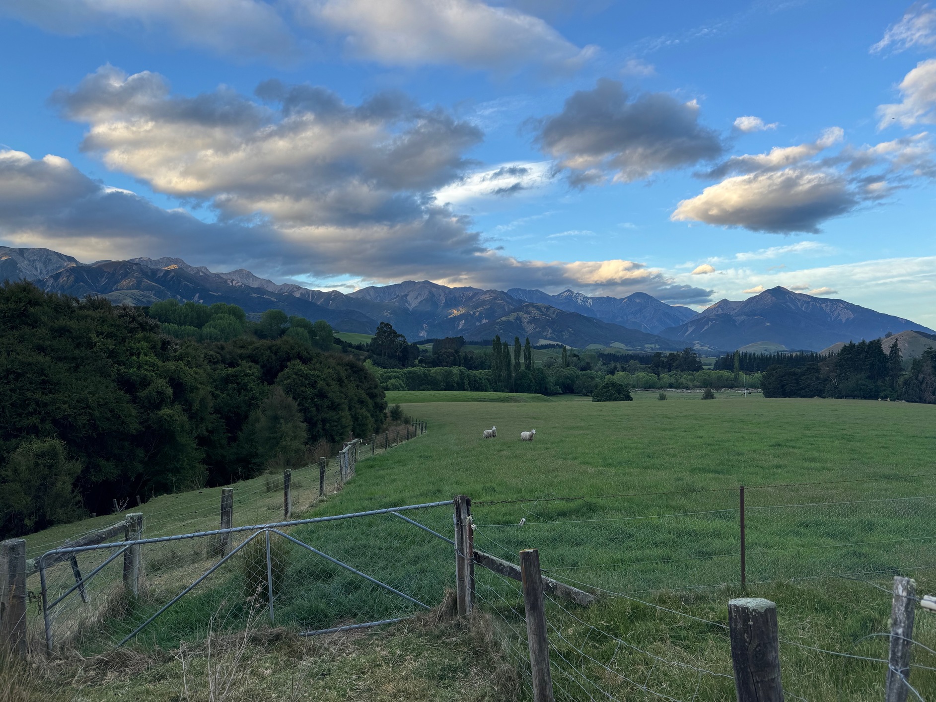 newzealand 75