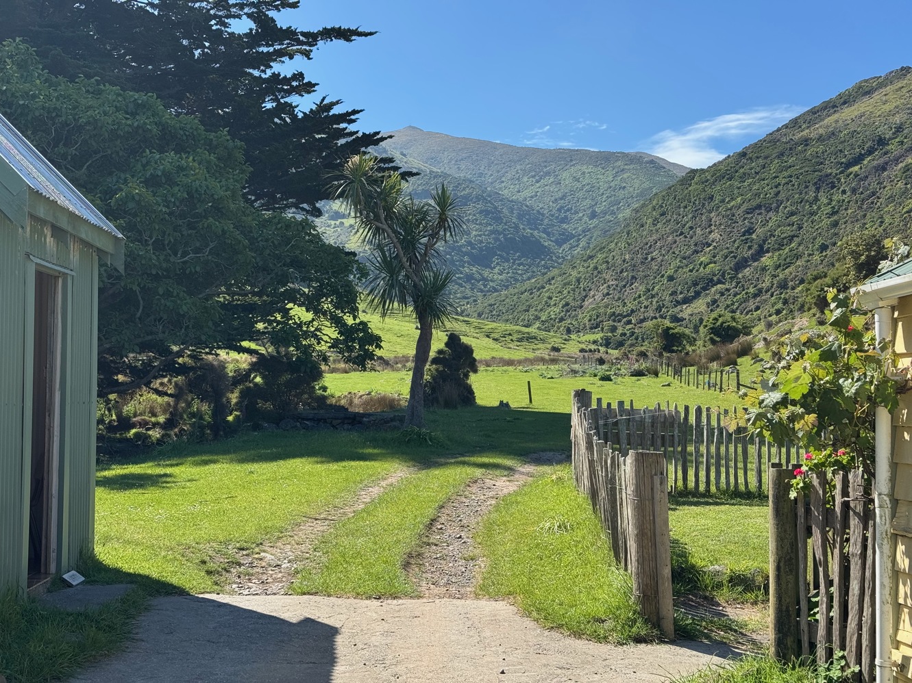 newzealand 101