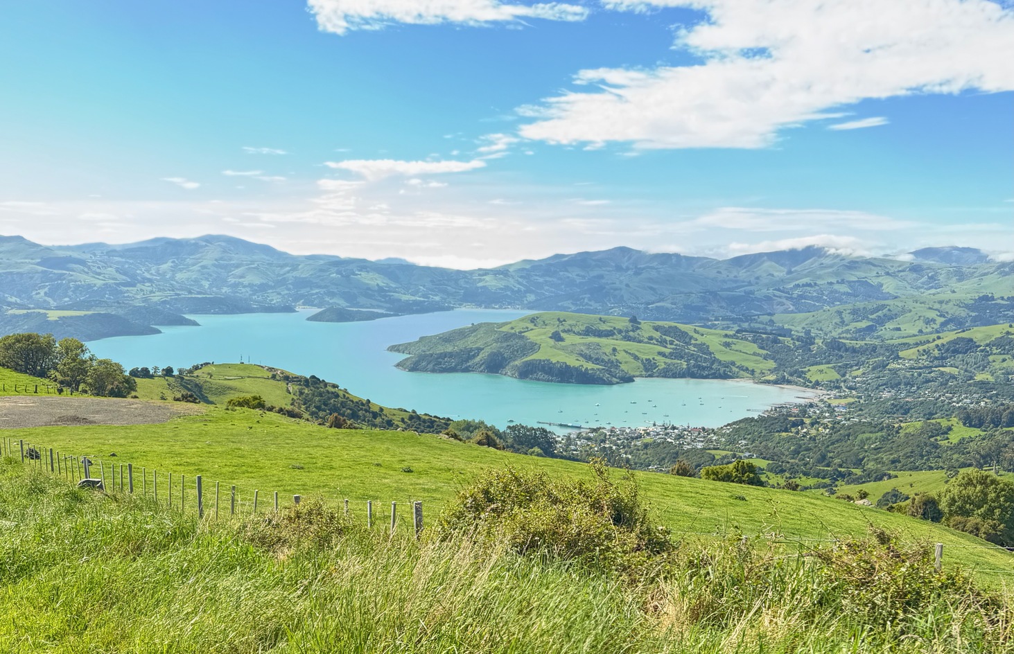 newzealand 102
