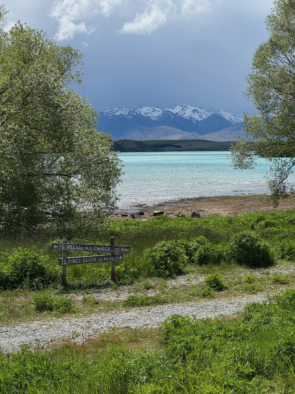 newzealand 105