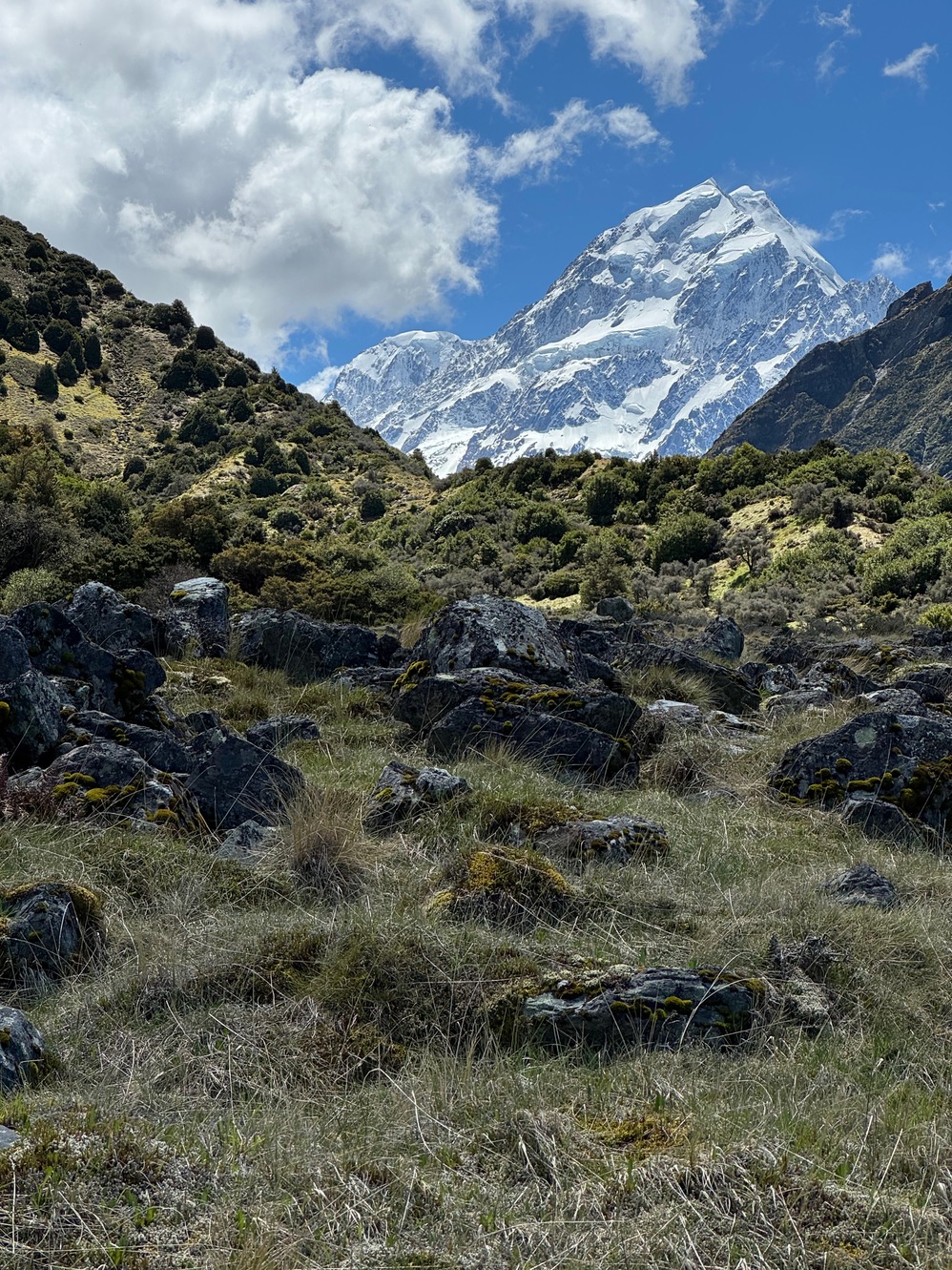 newzealand 126