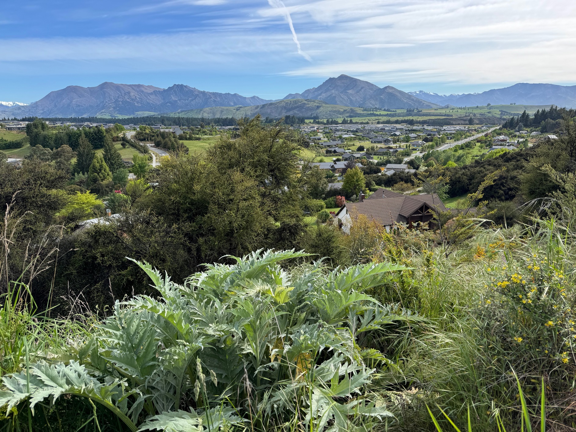 newzealand 133