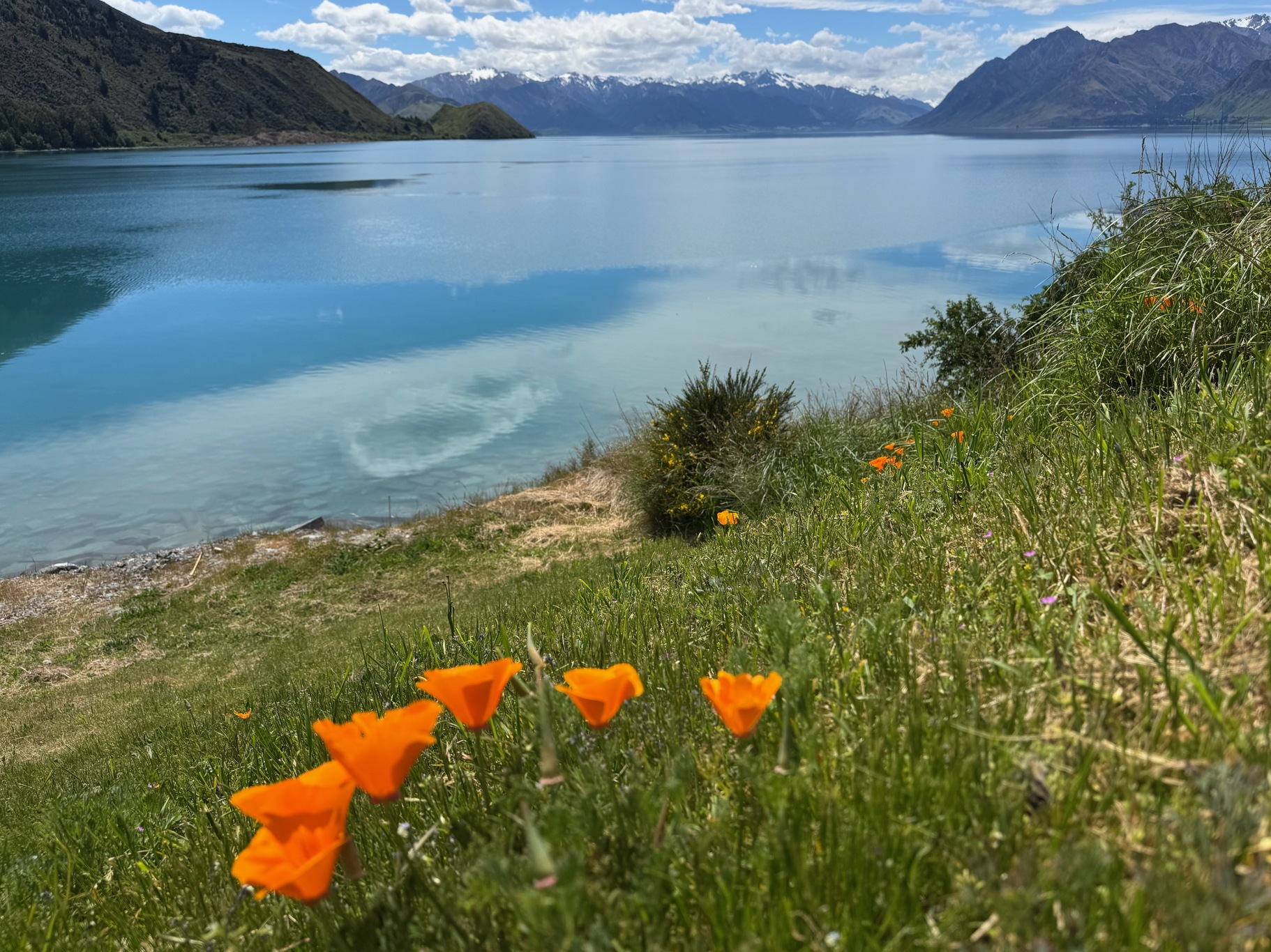 newzealand 140