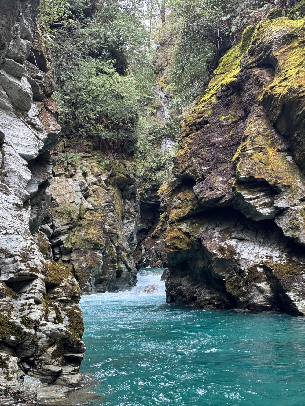 newzealand 162
