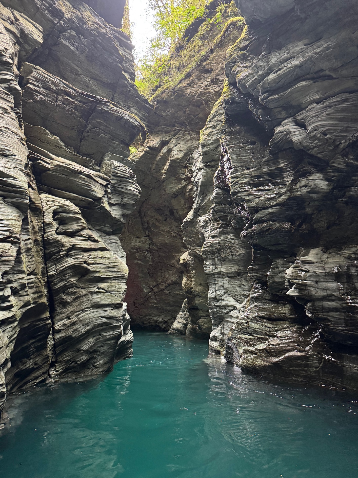 newzealand 163