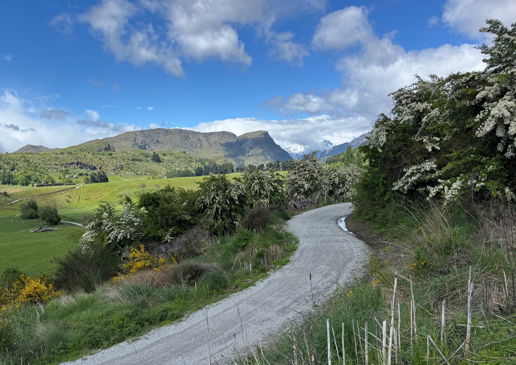 newzealand 167