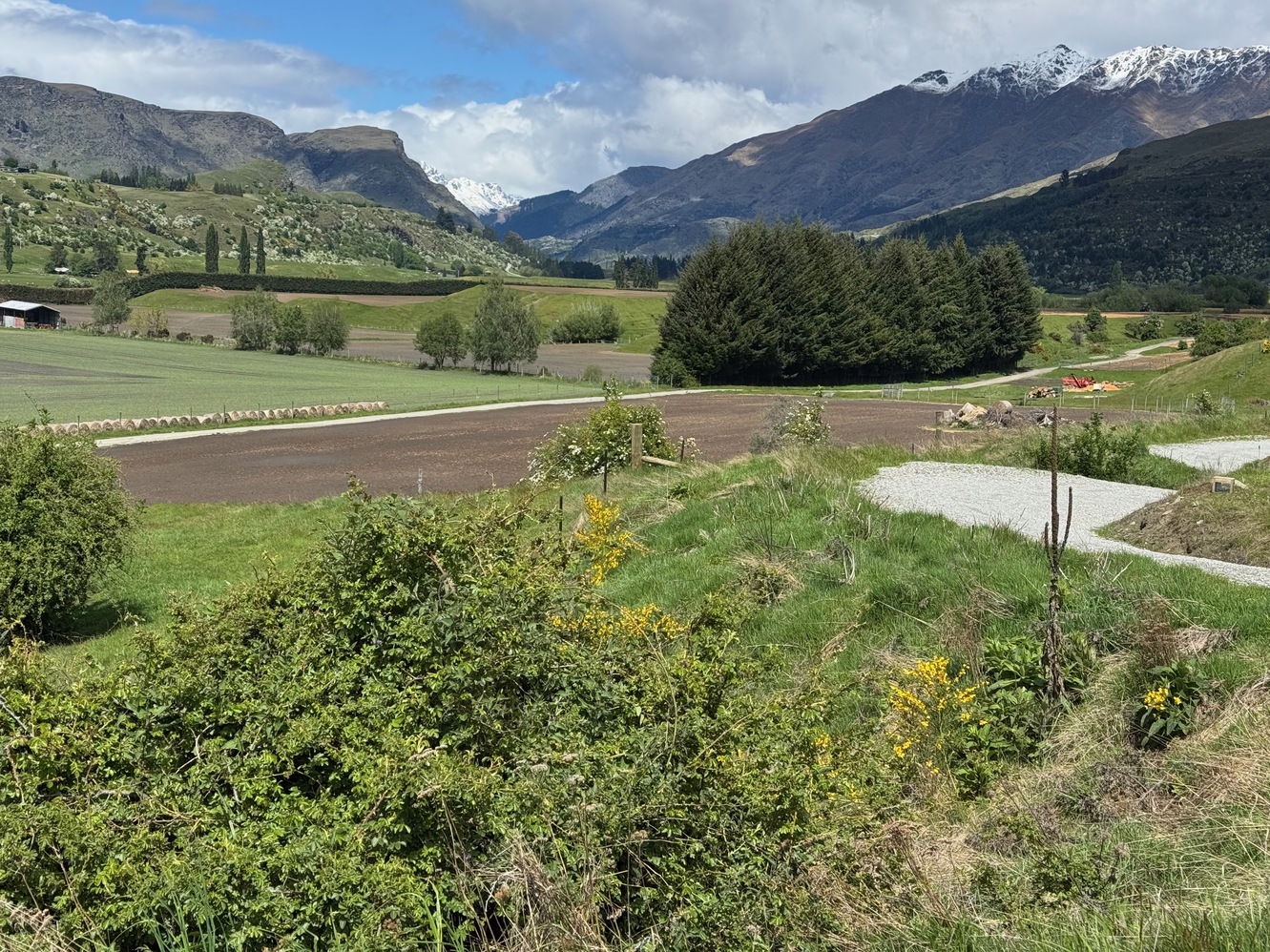 newzealand 168