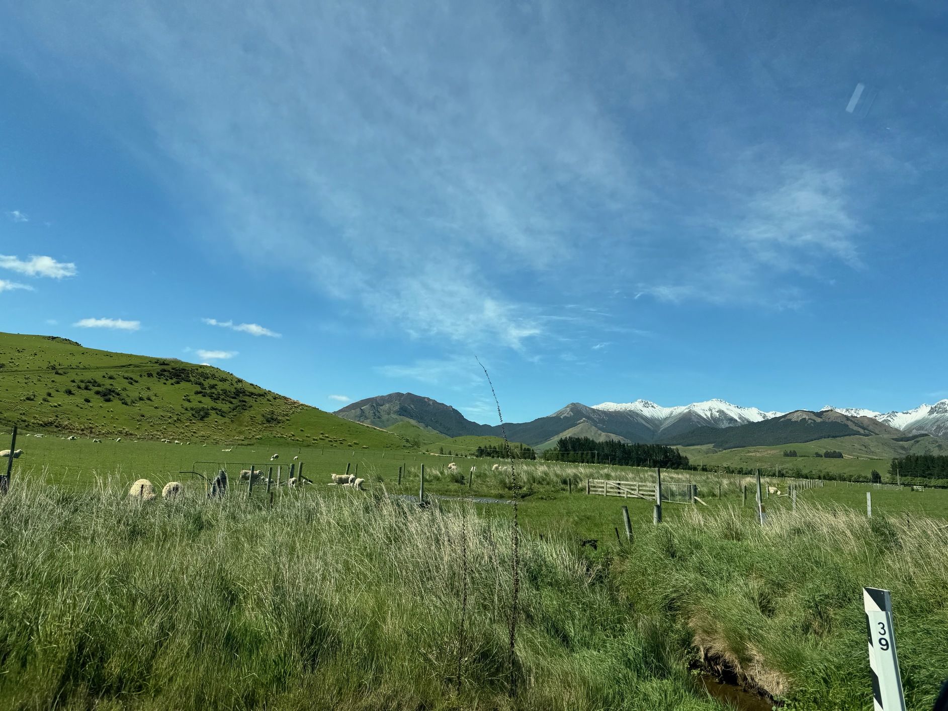 newzealand 177