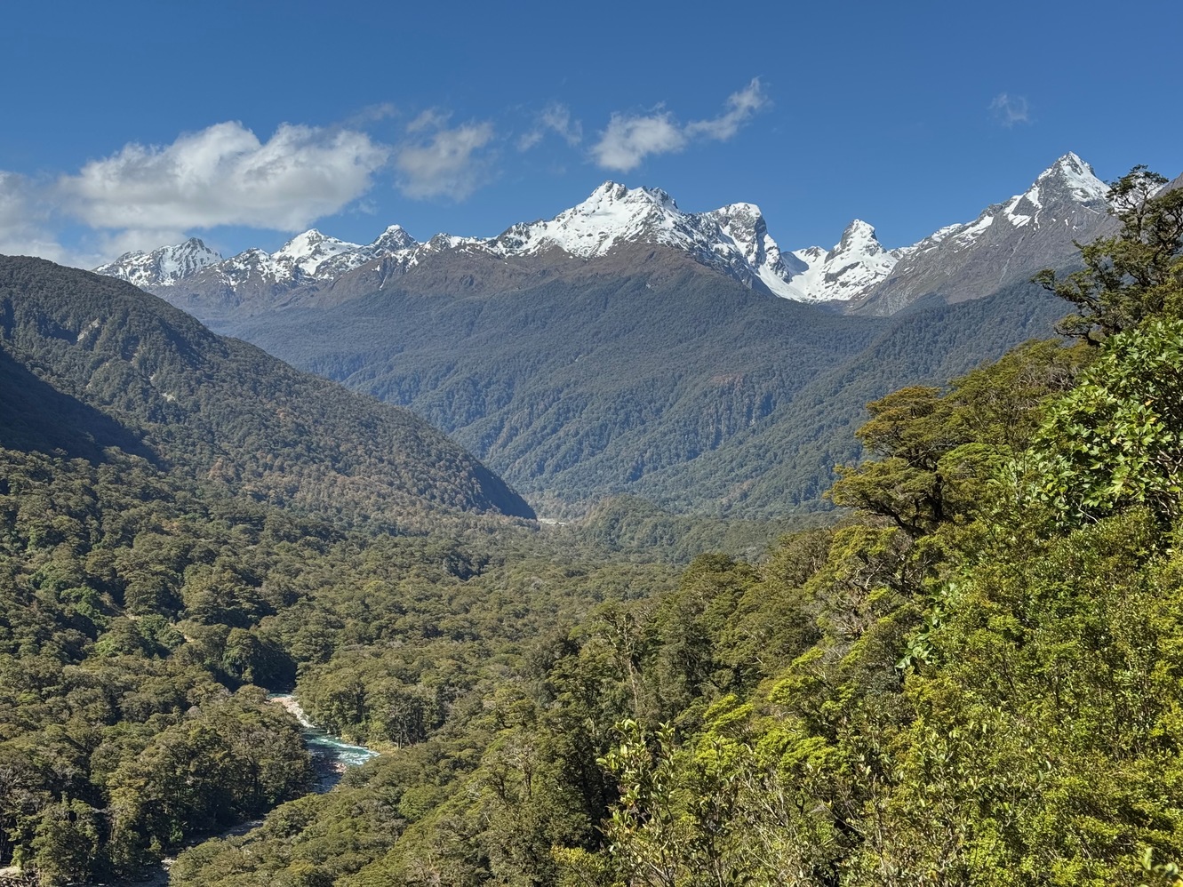 newzealand 186